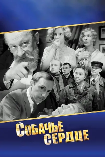 Владимир Глазков