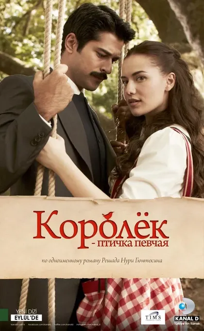 Дениз Джелилоглу